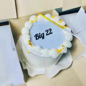 Mini Bento Cake (Choc/Vanilla)