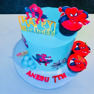 Kids Cake + Cupcakes Combo (Chocolate/Vanilla)