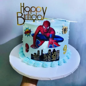 Kids Medium Cake Spiderman (Chocolate/Vanilla)