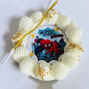Mini bento Spider-Man birthday cake by Aly’s Bakery