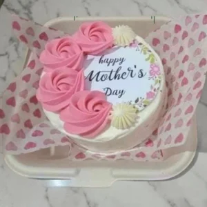 Mother’s Day Mini Bento Cake Special
